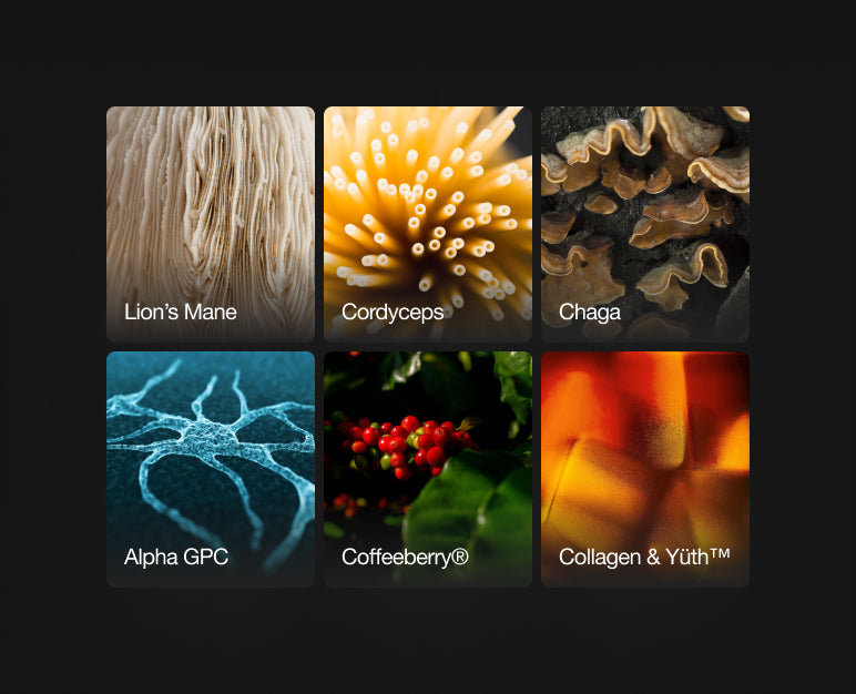 Lion’s Mane, Cordyceps, Chaga, Alpha GPC, Coffeeberry, and Collagen ingredients in MAGIK Mushroom Coffee